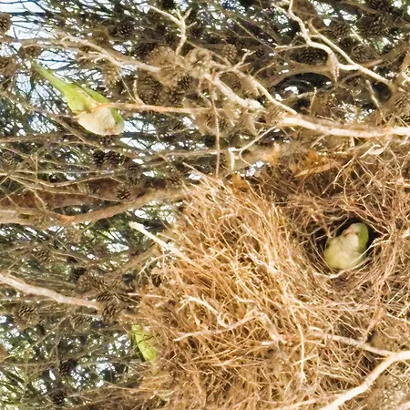 Seaview Penthouse アパート *